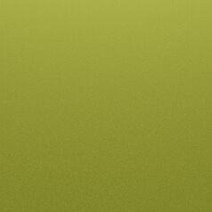 Zielony "Visual Green" metalik