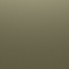 Oliwkowy Dark Olivine Green Metalik